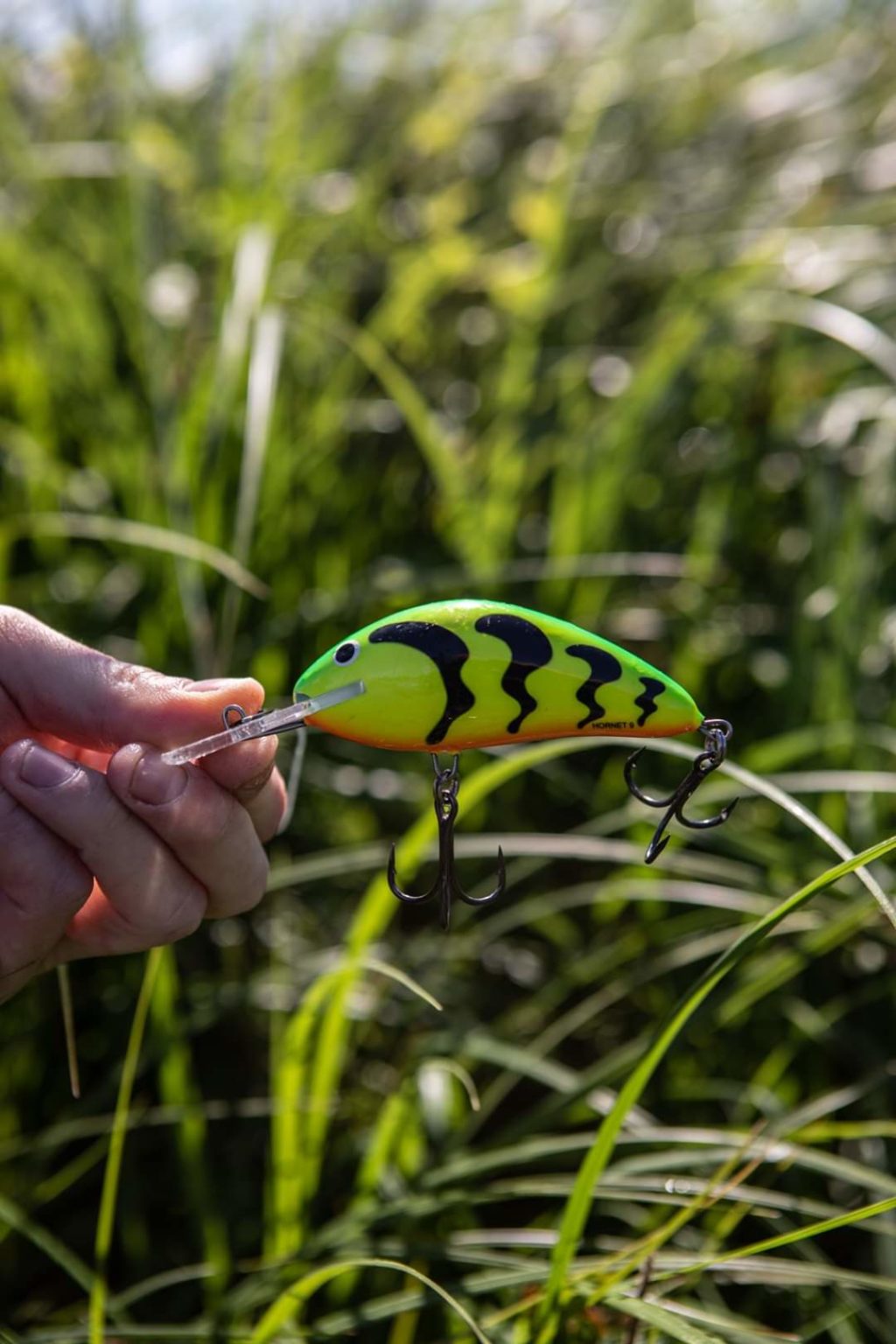 salmo-hornet-legendaariset-pikkuvaaput